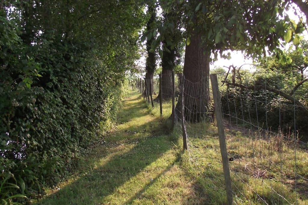 Vila Au Pied Du Frene Herzeele Exteriér fotografie