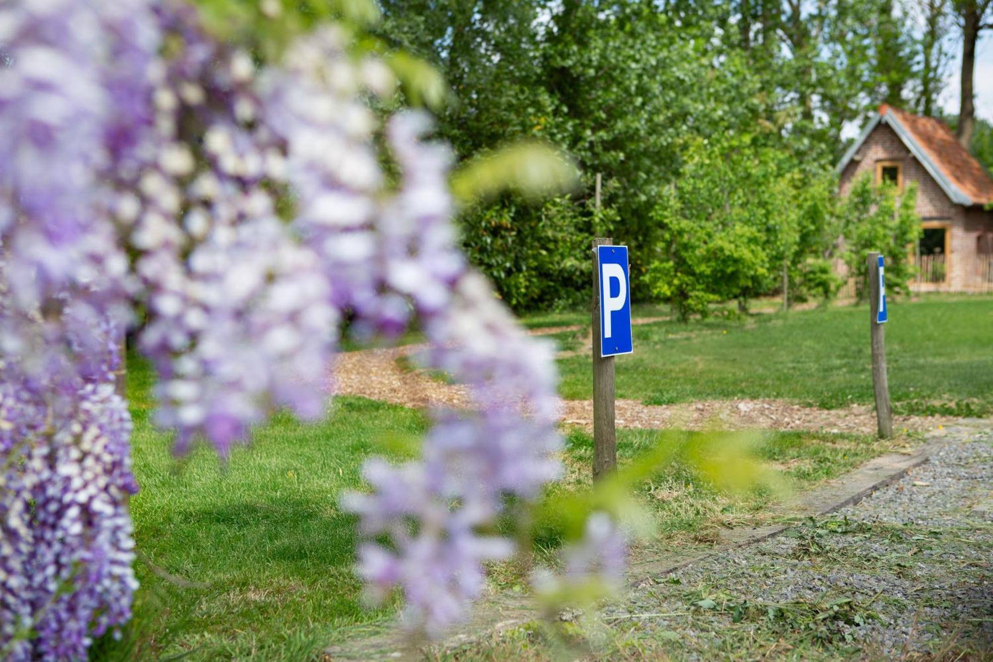 Vila Au Pied Du Frene Herzeele Exteriér fotografie
